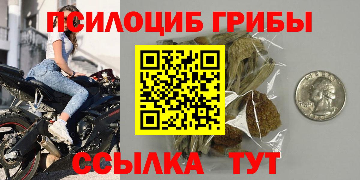 Осинники  Галлюциногенные грибы Cubensis  Вход с VPN 